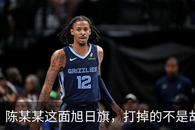 陈某某这面旭日旗，打掉的不是胡锡进的面子，是一层中邪论的滤镜