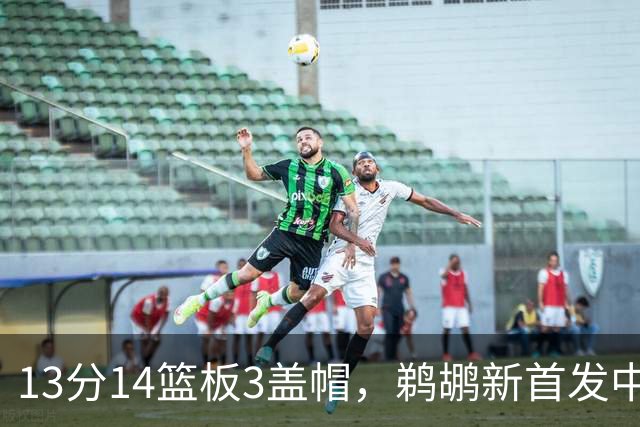 13分14篮板3盖帽，鹈鹕新首发中锋首秀交出两双